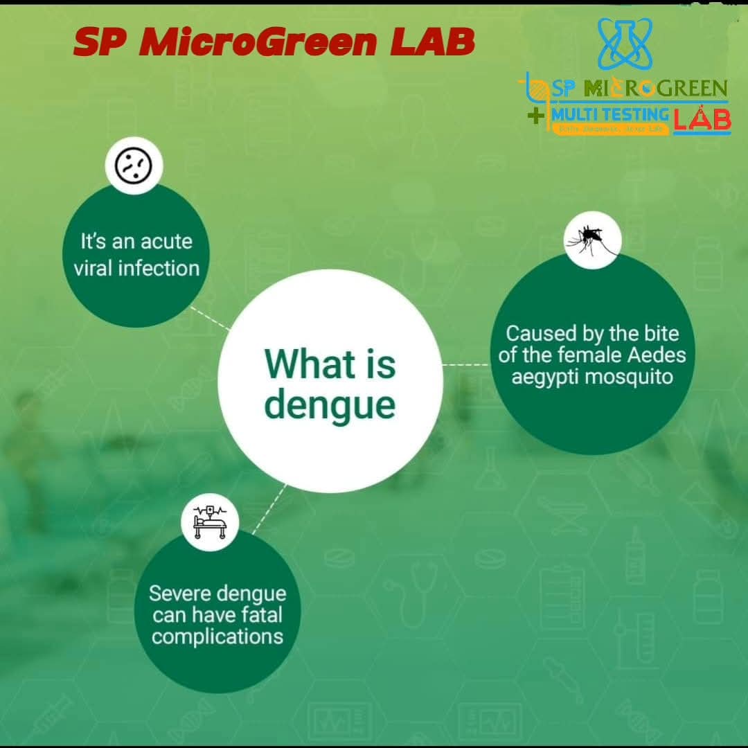 WhatsApp Image 2025-07-23 at 5.24.19 PM.jpeg